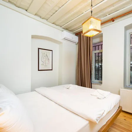 Maison Chic : Newly Renovated 3br In Center Κωνσταντινούπολη